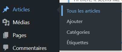Menu de création d'un article sous WordPress.